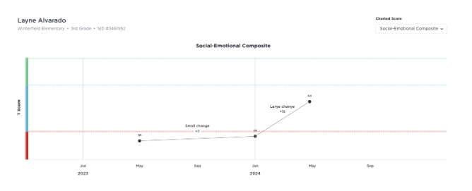 Sample report for progress monitoring