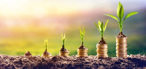 The ROI of SEL Might Surprise You