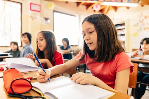 Why the Gifted Education Debate Misses the Real Point